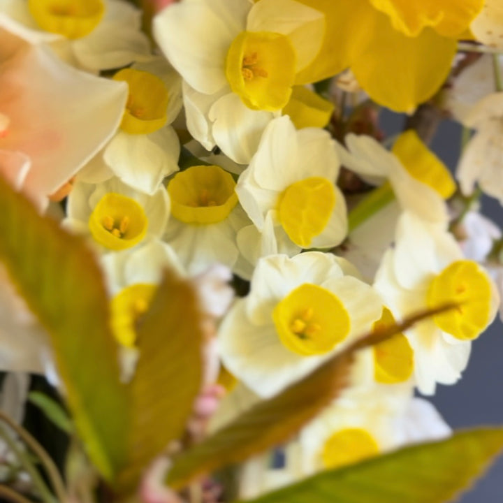 The Bee Garden Bouquet