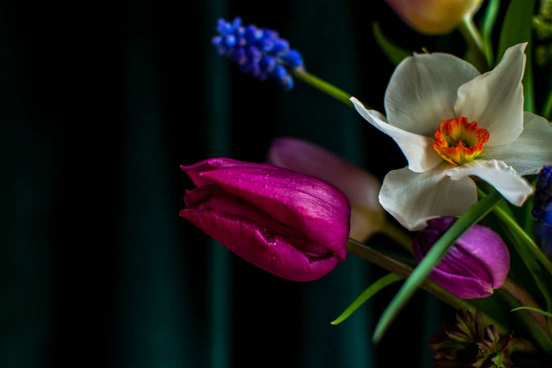 The Bee Garden Bouquet